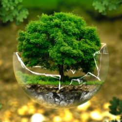 ENVIRONMENTAL IMPACT ASSESSMENT (EIA)